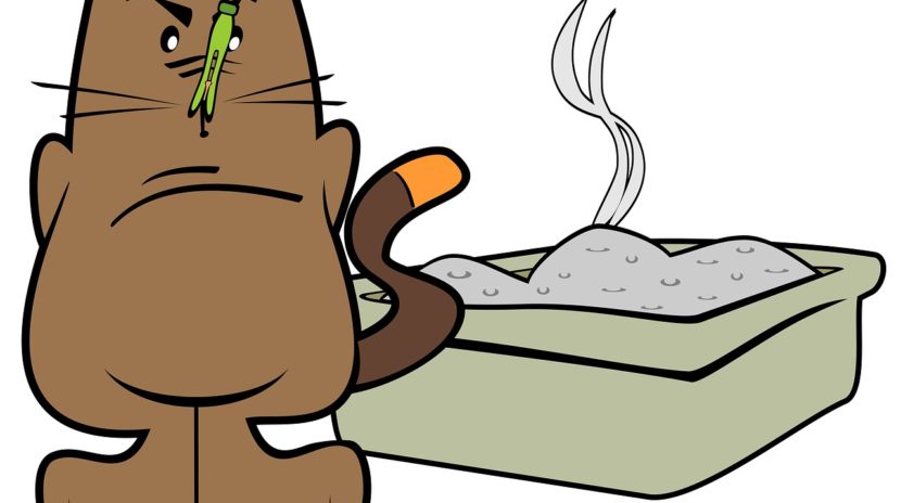 cat litter box illustration